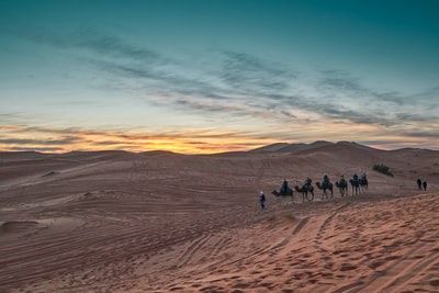 白天在沙漠上行走的人们